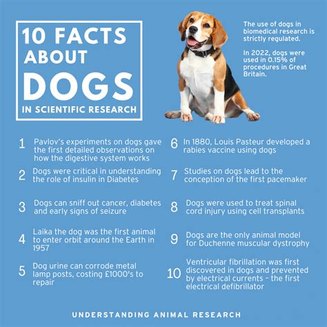 家犬|Dog, facts and photos